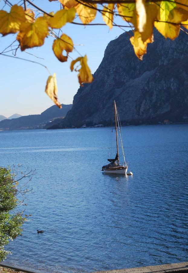 Apartamento Il Giardino Dei Fiori Mandello del Lario Exterior foto